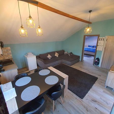 Comfort Home Apartment 3 Petroşani 외부 사진