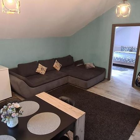 Comfort Home Apartment 3 Petroşani 외부 사진