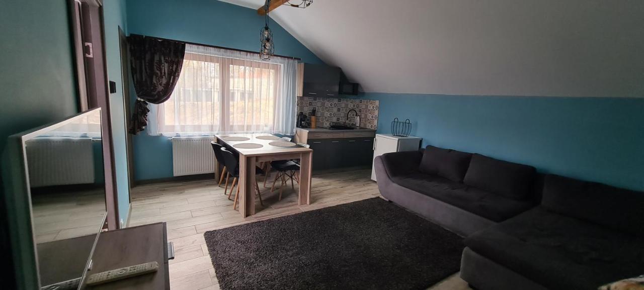 Comfort Home Apartment 3 Petroşani 외부 사진