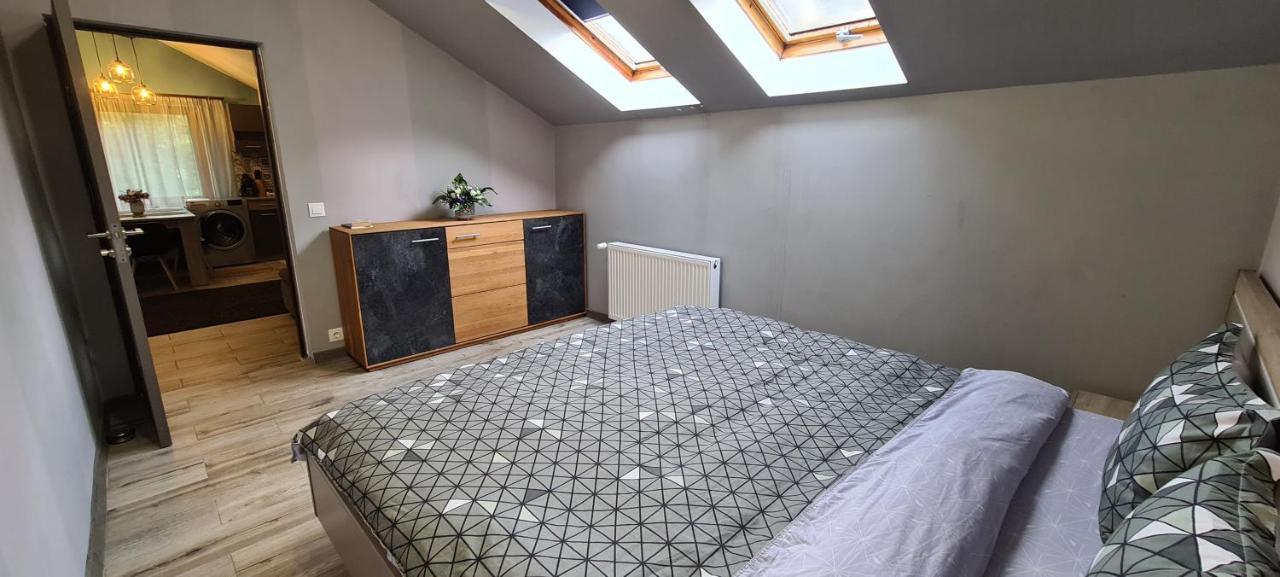 Comfort Home Apartment 3 Petroşani 외부 사진